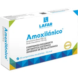 AMOXILANICO CAJA X 20 COMPRIMIDOS - Ecofarma