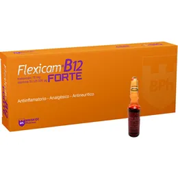 FLEXICAM B12 CAJA X 10 AMPOLLA - Ecofarma