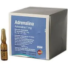 ADRENALINA 1 MG AMPOLLA X 1 ML - Ecofarma