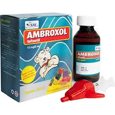 AMBROXOL INFANTIL 15 MG JARABE FCO X 100 ML - Ecofarma