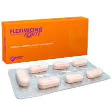 FLEXIMICINA FORTE 1 GR CAJA X 20 COMPRIMIDOS - Ecofarma